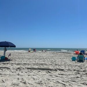 Meet your Posher, Mickey